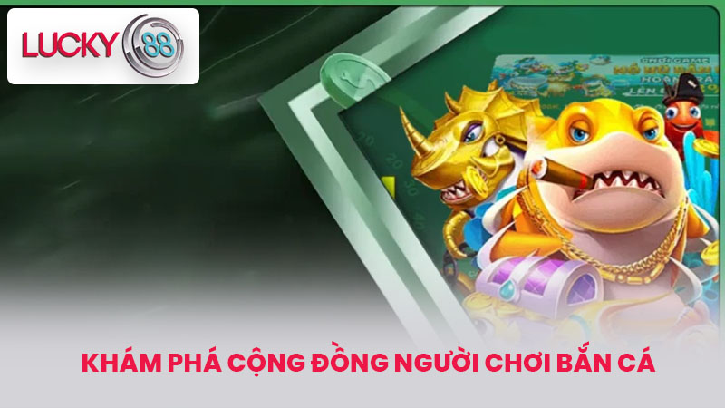 Khám phá cộng đồng người chơi bắn cá