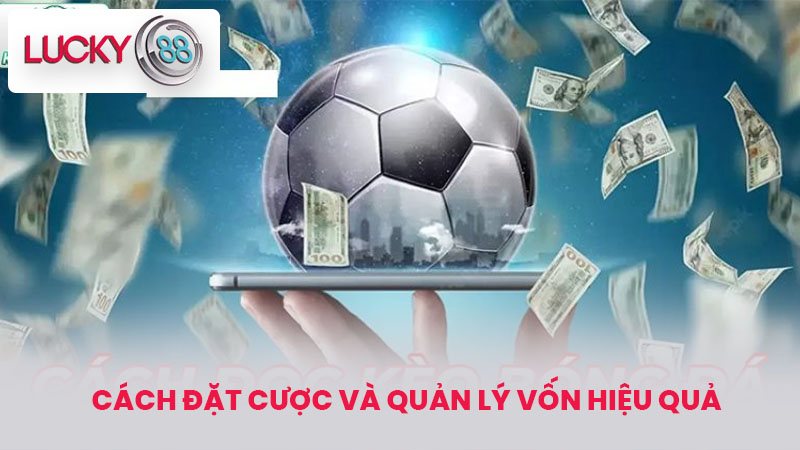 Cách đặt cược và quản lý vốn hiệu quả