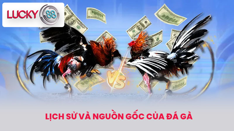 Lịch sử và nguồn gốc của đá gà