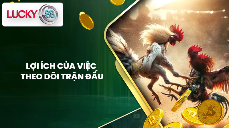 Lợi Ích Của Việc Theo Dõi Trận Đấu